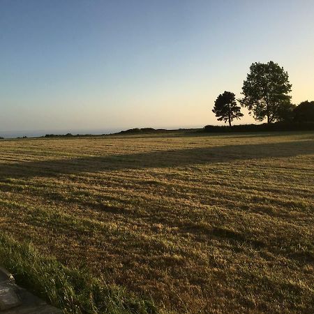 Gite Des Falaises De Champeaux エクステリア 写真